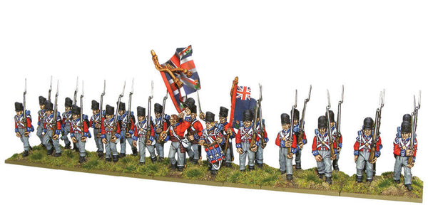 Black Powder: British Line Infantry (Waterloo) (24)