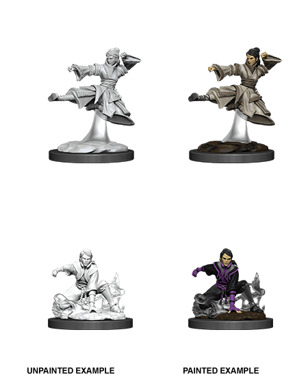Dungeons & Dragons Nolzur's Marvelous Unpainted Miniatures: W11 Female Human Monk from WizKids image 16
