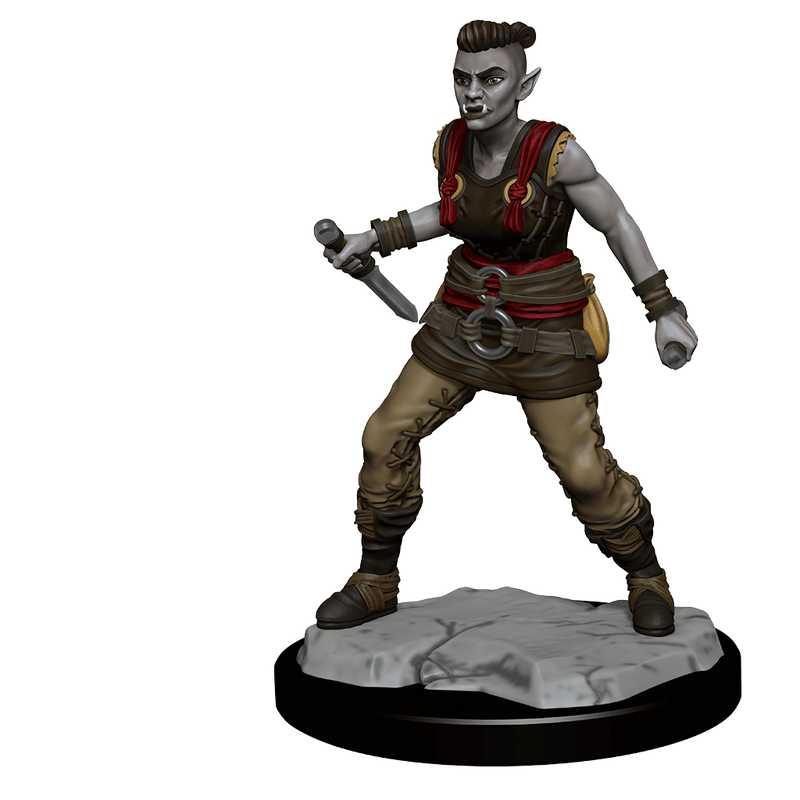 Dungeons & Dragons Nolzur's Marvelous Unpainted Miniatures: W13 Orc Barbarian Female from WizKids image 12