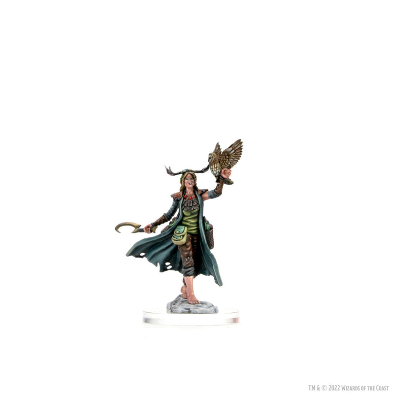 Dungeons & Dragons Frameworks: W01 Human Druid Female from WizKids image 13