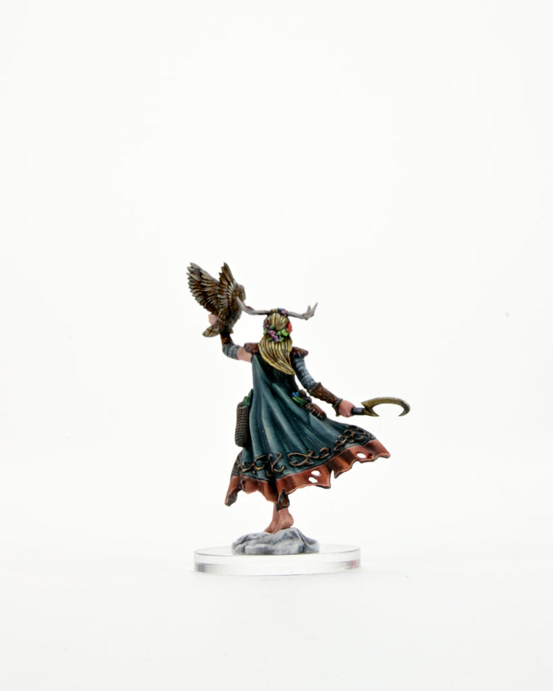 Dungeons & Dragons Frameworks: W01 Dwarf Fighter Male from WizKids image 12