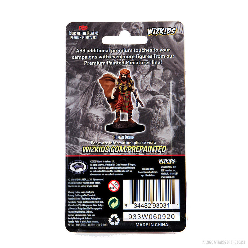 Dungeons & Dragons: Icons of the Realms Premium Figures W04 Human Druid Male from WizKids image 5