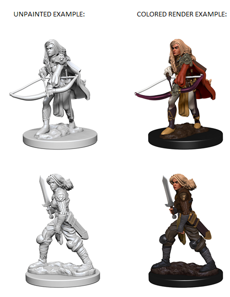 Pathfinder Deep Cuts Unpainted Miniatures: W01 Human Female Fighter from WizKids image 6