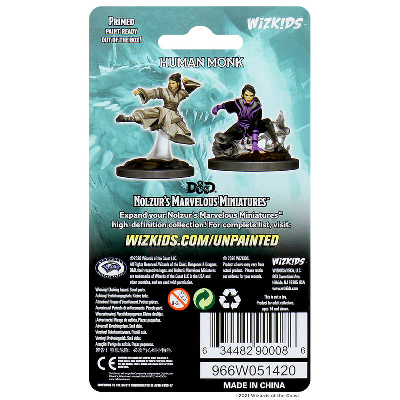 Dungeons & Dragons Nolzur's Marvelous Unpainted Miniatures: W11 Female Human Monk from WizKids image 10