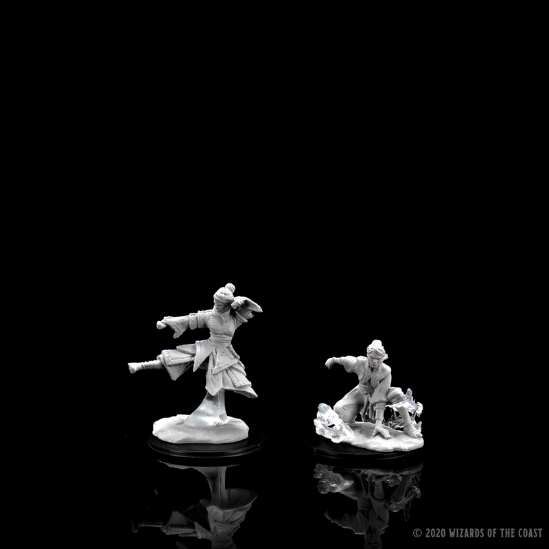 Dungeons & Dragons Nolzur's Marvelous Unpainted Miniatures: W11 Female Human Monk from WizKids image 11