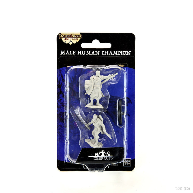 Pathfinder Deep Cuts Unpainted Miniatures: W14 Human Champion Male from WizKids image 5