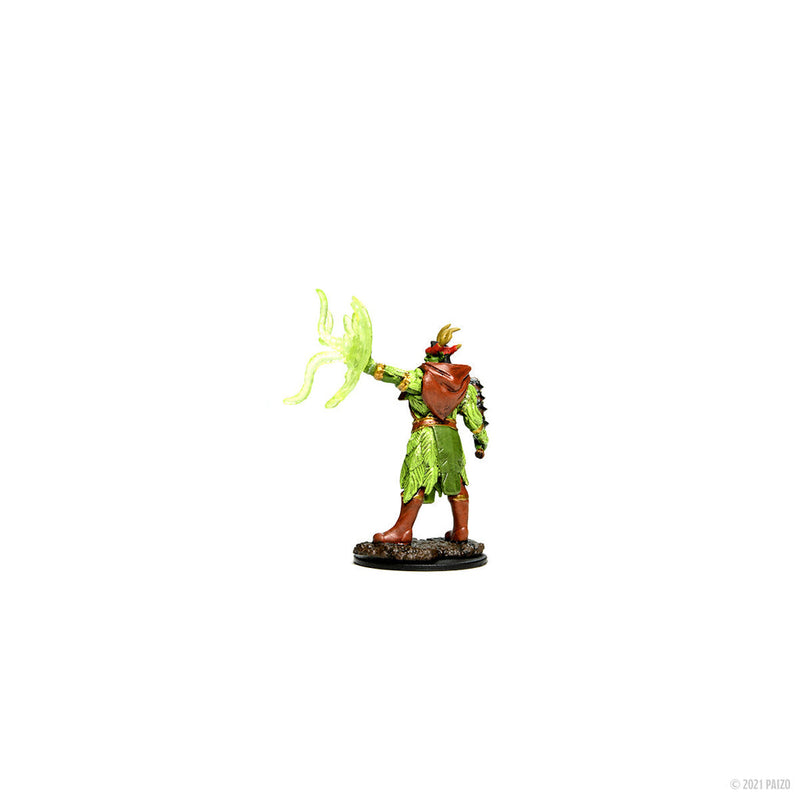 Pathfinder Battles: Premium Painted Figure - W02 Half-Ord Druild Male from WizKids image 8