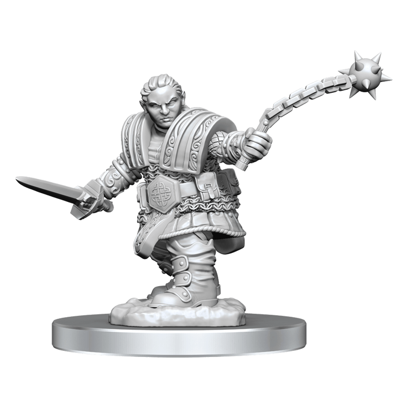 Dungeons & Dragons Nolzur's Marvelous Unpainted Miniatures: W16 Ice Troll Female from WizKids image 25