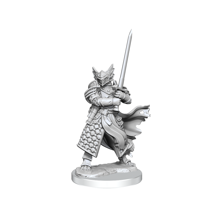 Dungeons & Dragons Frameworks: W01 Dragonborn Paladin Male from WizKids image 9