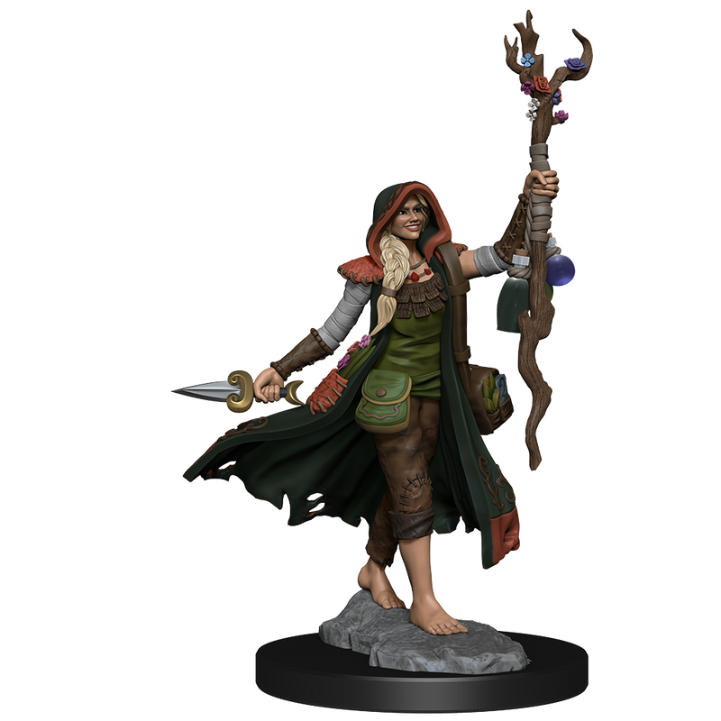 Dungeons & Dragons Frameworks: W01 Human Druid Female from WizKids image 10