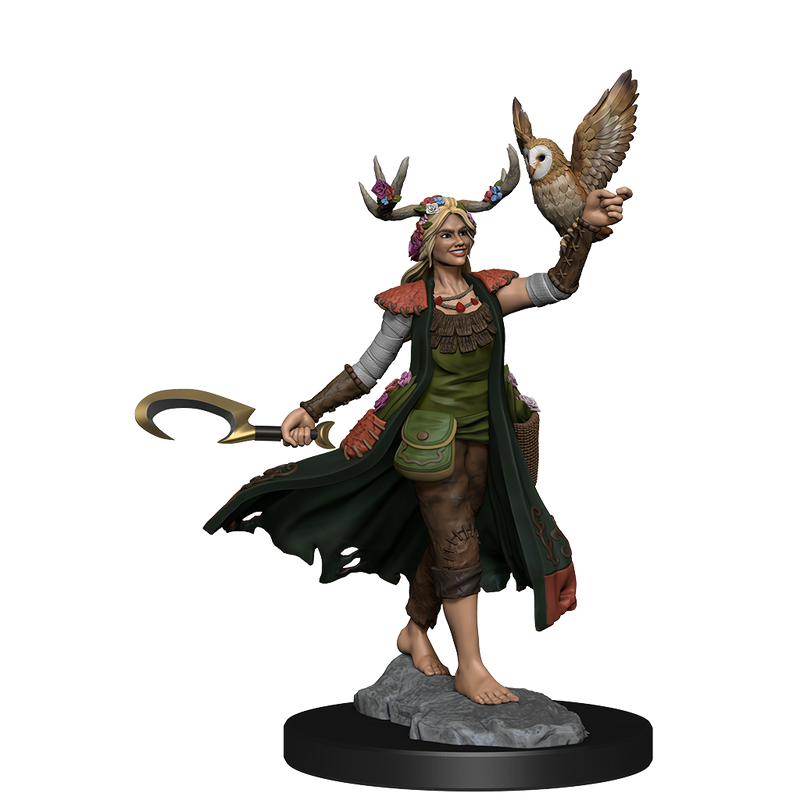 Dungeons & Dragons Frameworks: W01 Human Druid Female from WizKids image 12