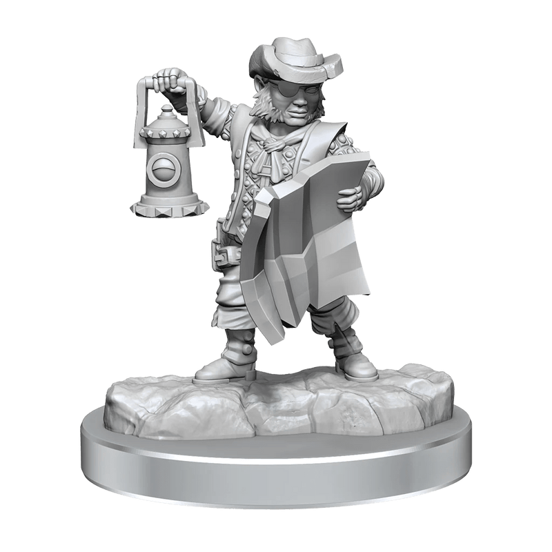 Dungeons & Dragons Frameworks: W02A Male Halfling Rogue