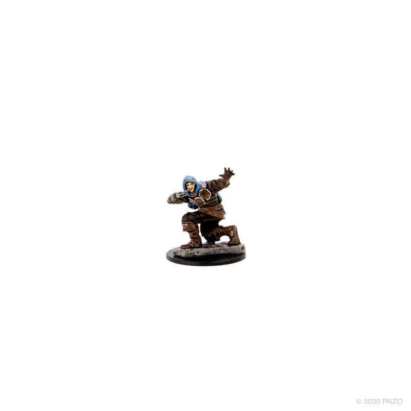 Pathfinder Battles: Premium Painted Figure - W01 Human Rogue Male from WizKids image 7